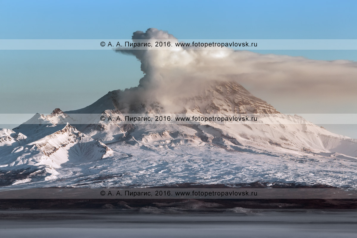 Камчатка фото: Действующий вулкан Шивелуч (Shiveluch Volcano) на  полуострове Камчатка - Вулканы полуострова Камчатка -  Петропавловск-Камчатский, Камчатка фотография