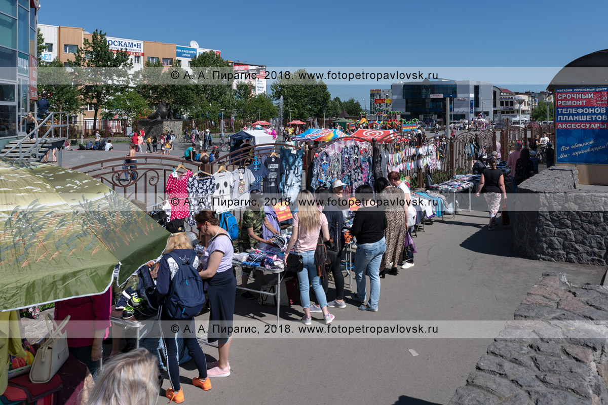 Камчатка фото: Петропавловск-Камчатский, уличная торговля в не  санкционированном (не установленном) для этого месте - Магазины полуострова  Камчатка - Петропавловск-Камчатский, Камчатка фотография